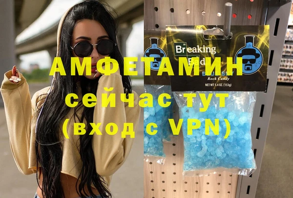 хмурый Пересвет