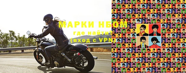 хмурый Пересвет