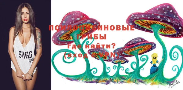 ECSTASY Переславль-Залесский