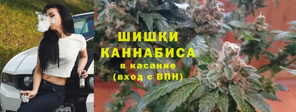 хмурый Пересвет