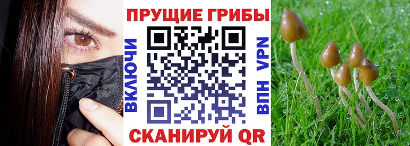 Галлюциногенные грибы GOLDEN TEACHER Горбатов