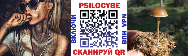 где можно купить   Горбатов  Галлюциногенные грибы ЛСД 
